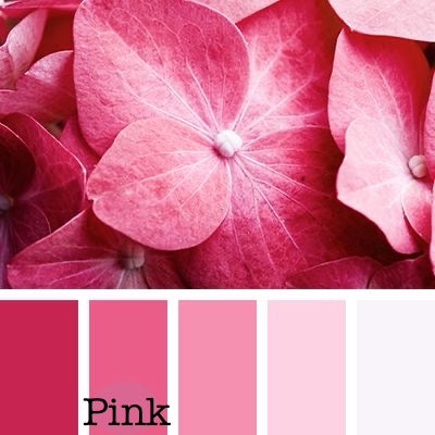 Close-up of pink hydrangea petals with a color swatch labeled 'Pink'.